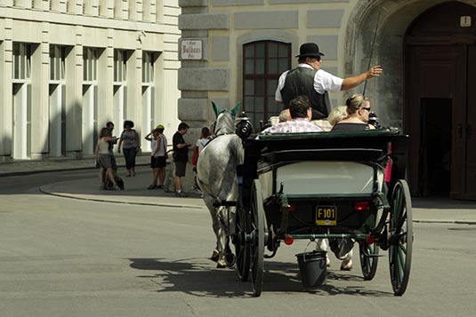 Horse Buggy Ride, Vienna, Austria