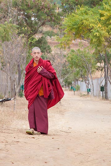 A Monk, Chimi Lhakhang, Bhutan
