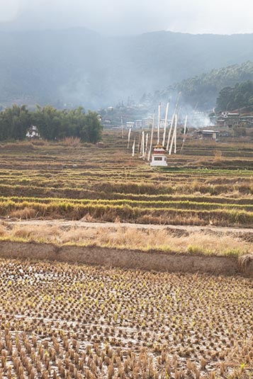 Fields, Chimi Lhakhang, Bhutan