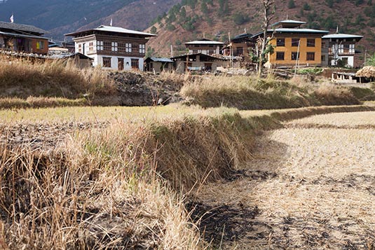 Village, House Facade, Chimi Lhakhang, Bhutan