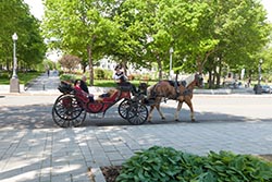 Horse Carriage, Quebec City, Canada