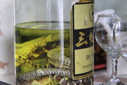 Snake wine on board River Li Cruise, Guilin