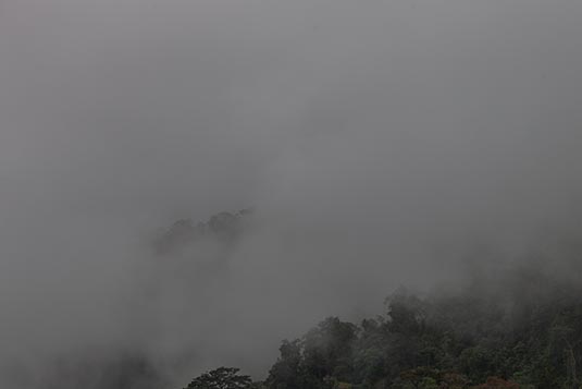 Cloud Forest, La Paz Waterfall Gardens, Costa Rica