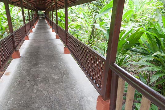 Aninga Lodge, Tortuguero, Costa Rica