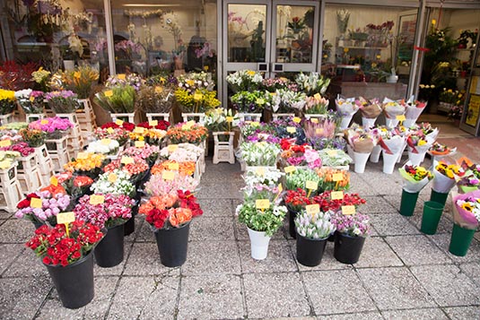 Flower Shop, Rue Des Chantiers, Versailles, France