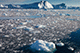 Sailing among the Icebergs, Ilulissat, Greenland