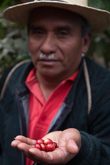 Daniel Gonzalez Vasquez, Coffee Farmer, San Miguel Escobar, Near Antigua, Guatemala