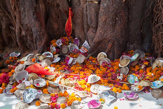 Offerings, Chintpurni Temple, Dharamshala, Himachal Pradesh, India