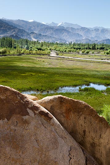 View from Shey Palace, Leh, India