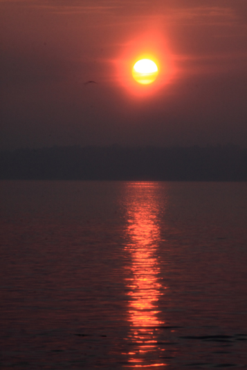 Dawn, Ashtamudi Lake, Ashtamudi, Kerala