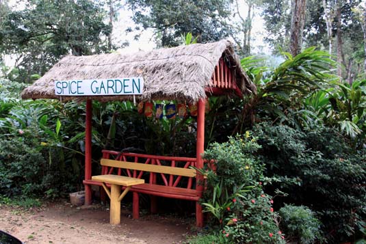 Spices Garden, Munnar, Kerala