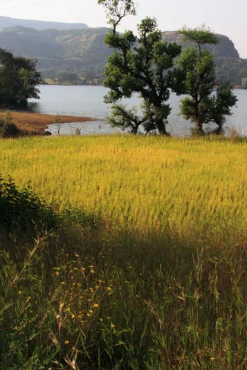 Mulshi Lake, Pune