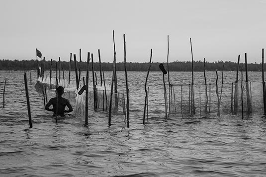 Chilika Lake, Satpada Section, Odisha, India