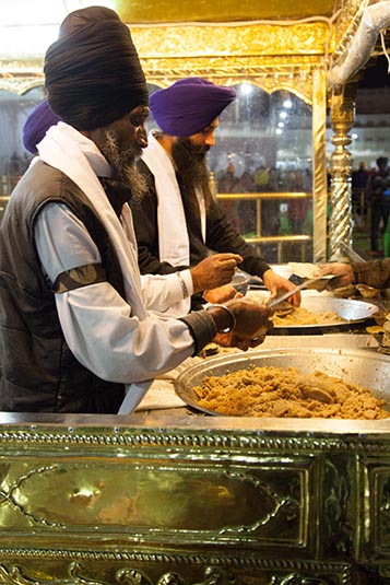 Offerings, The Golden Temple, Amritsar, Punjab, India