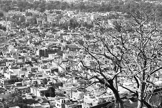 The Town, Seen from Chittorgarh, Rajasthan, India