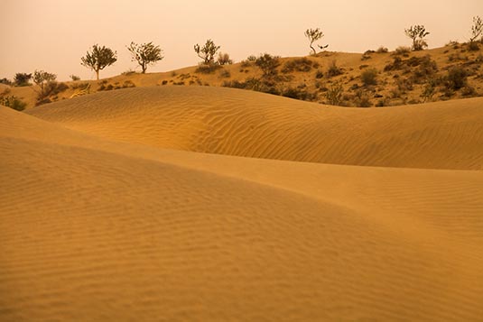 Sand Dunes, Khuri, Rajasthan, India