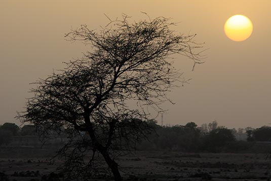Sunset, Ranthambore, Rajasthan, India