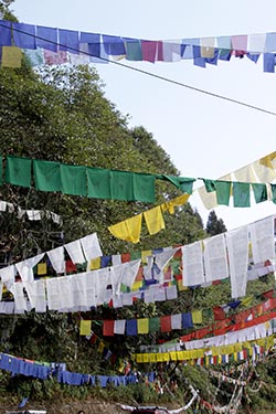 Prayer Flags, Gangtok, India