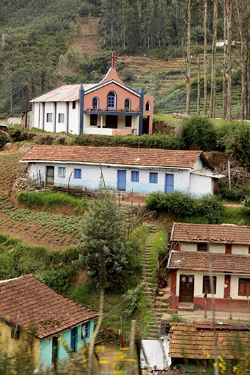 agricultural fieds in the valley, Ooty, Tamil Nadu, India. Stock Photo |  Adobe Stock