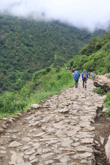Trek to Ghangria, The Himalayas