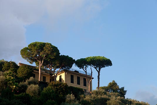 The Two Pines, Castello Brown, Portofino, Italy