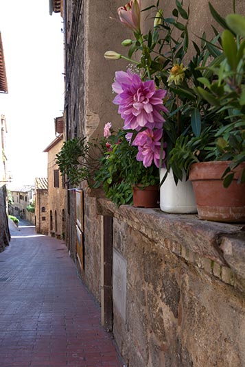 A Bylane, San Gimignano, Italy