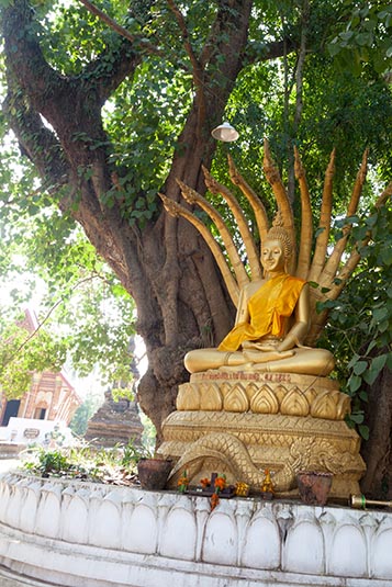 Wat Wisunalat, Luang Prabang, Laos