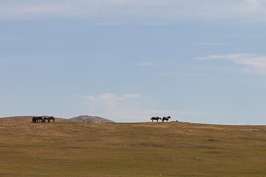 Towards Ongi, Mongolia