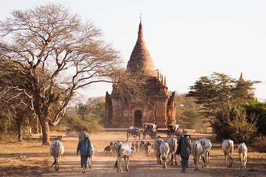 View from the Horse Cart Tour, Bagan, Myanmar