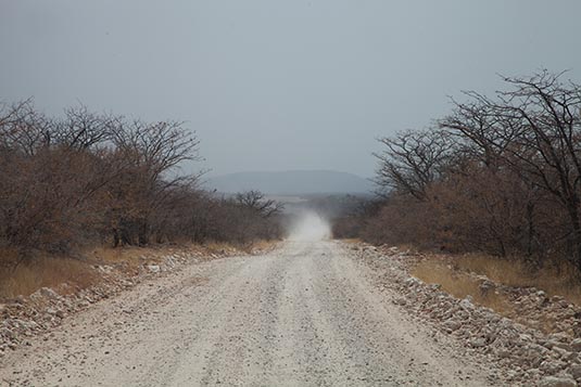 Gravel Road, Etosha, Namibia