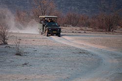 Safari, Ongava, Namibia