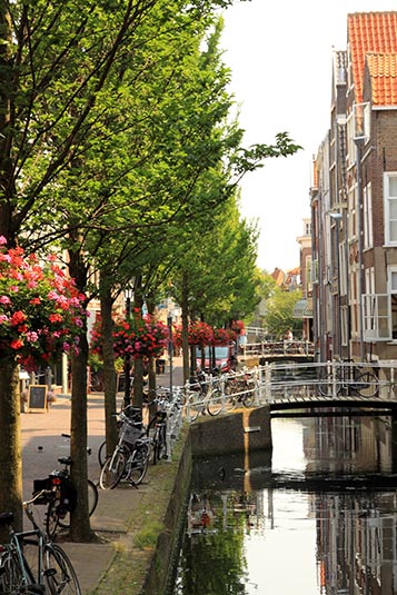 Canal, Delft, the Netherlands