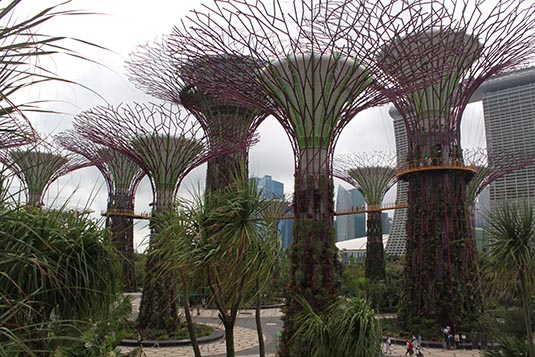 Supertree Grove, Garden by the Bay, Singapore