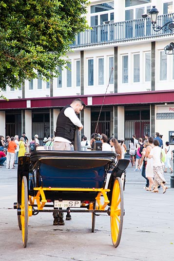 Carriage for Hire, Constitucion Avenue, Seville, Spain