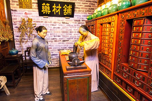 Medicine Shop, General's House Replica & Museum, Chiayi, Towards Tainan, Taiwan