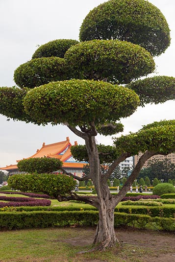 Gardens, Chiang Kai-Shek Memorial, Taipei, Taiwan