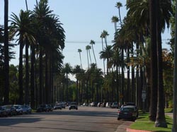 Beverly Hills, Los Angeles, USA