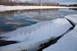 Chena River, Fairbanks, Alaska, USA