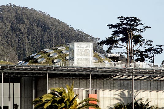 Green Terrace, Academy of Sciences, San Francisco, USA