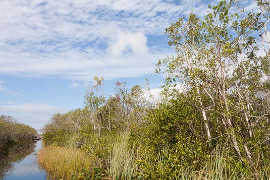 Everglades National Park, Miami, Florida, USA