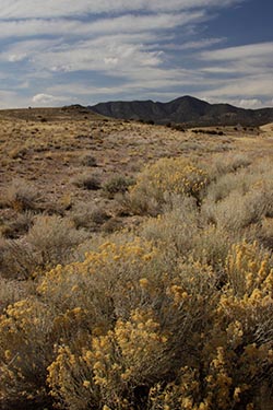 The Great Basin, Nevada, USA