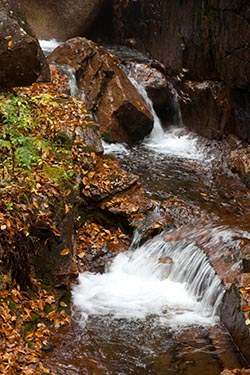The Brook, The Flume Gorge, New Hampshire, USA