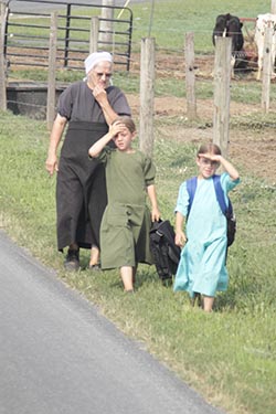 Back from School, Amish Country, Lancaster County, Pennsylvania, USA