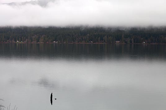 Lake Quinault, Quinault, Washington, USA